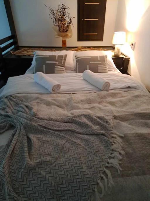 Sofia'S Home Comfy Studio In The Old Town براشوف المظهر الخارجي الصورة