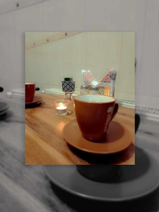 Sofia'S Home Comfy Studio In The Old Town براشوف المظهر الخارجي الصورة