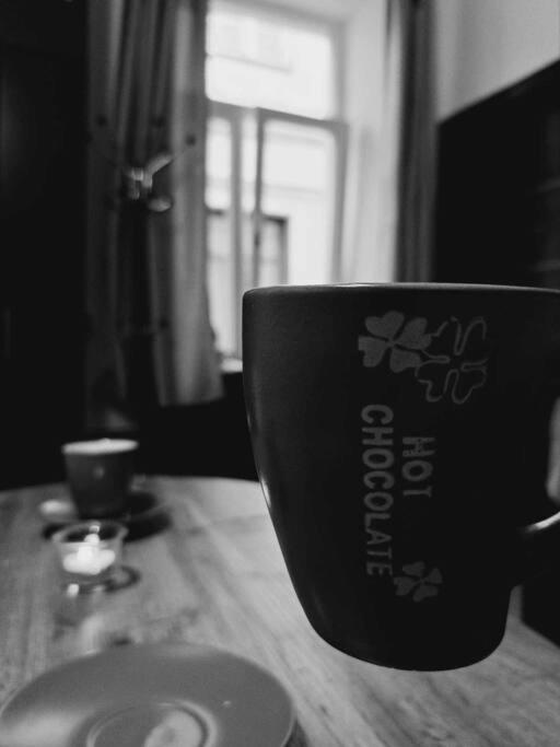 Sofia'S Home Comfy Studio In The Old Town براشوف المظهر الخارجي الصورة