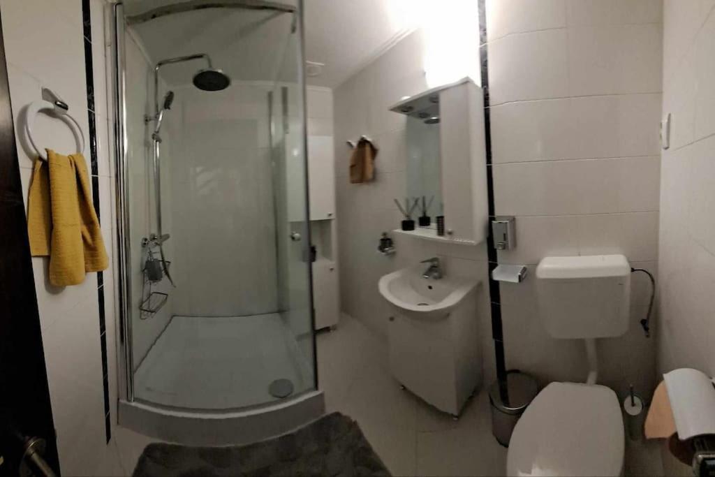 Sofia'S Home Comfy Studio In The Old Town براشوف المظهر الخارجي الصورة