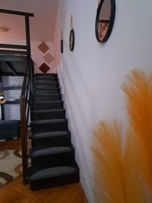 Sofia'S Home Comfy Studio In The Old Town براشوف المظهر الخارجي الصورة